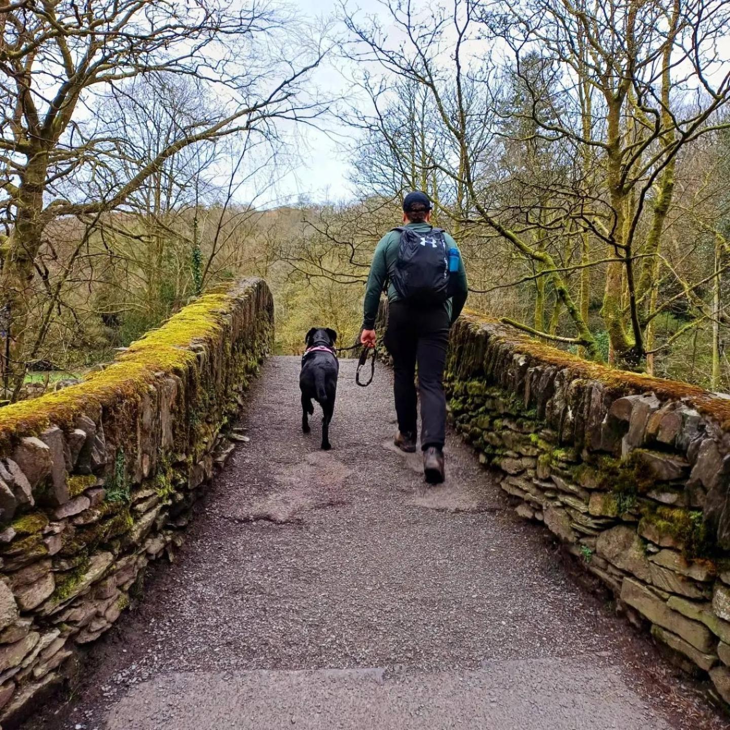 Detached Homestay - Super, King & Double Rooms - Leyland, Preston, Chorley, Lancashire Eksteriør billede